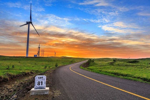 去荷兰留学需要学荷兰语吗英语授课够用吗