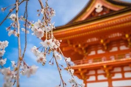 EJU考试要考多少分才能申请日本本科