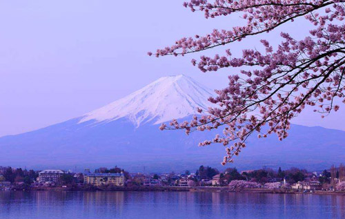 日本医学留学竞争有多激烈需要提前做哪些准备