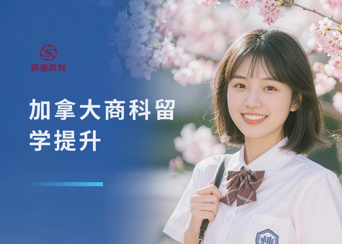 武汉新通加拿大商科留学背景提升班