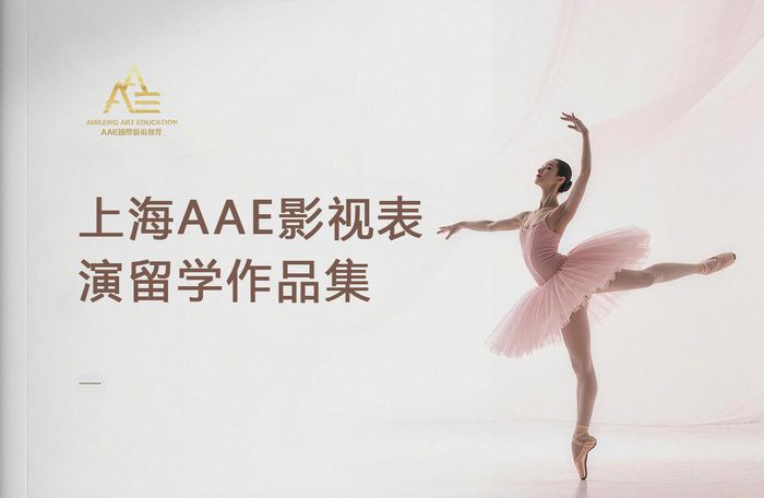 上海AAE影视表演留学作品集辅导课程