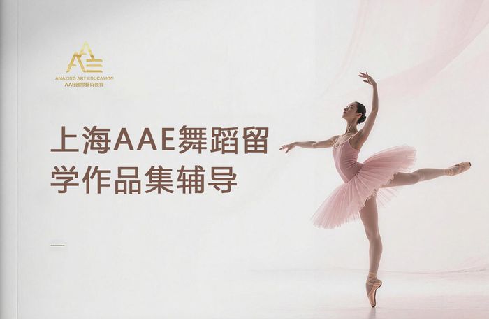 上海AAE舞蹈留学作品集辅导课程