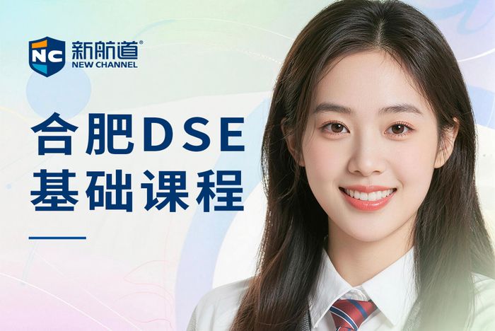 合肥新航道DSE基础课程班