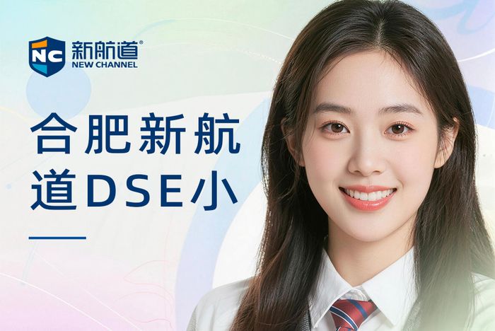 合肥新航道DSE小班课程