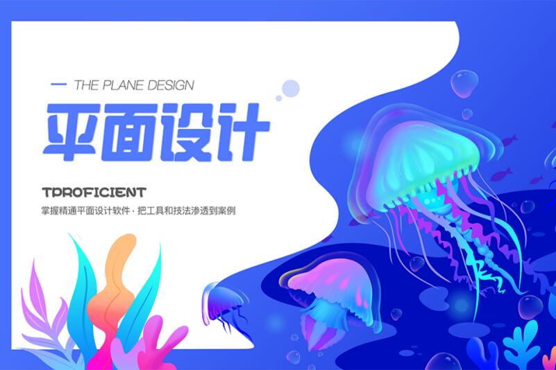 乐清平面视觉全科班